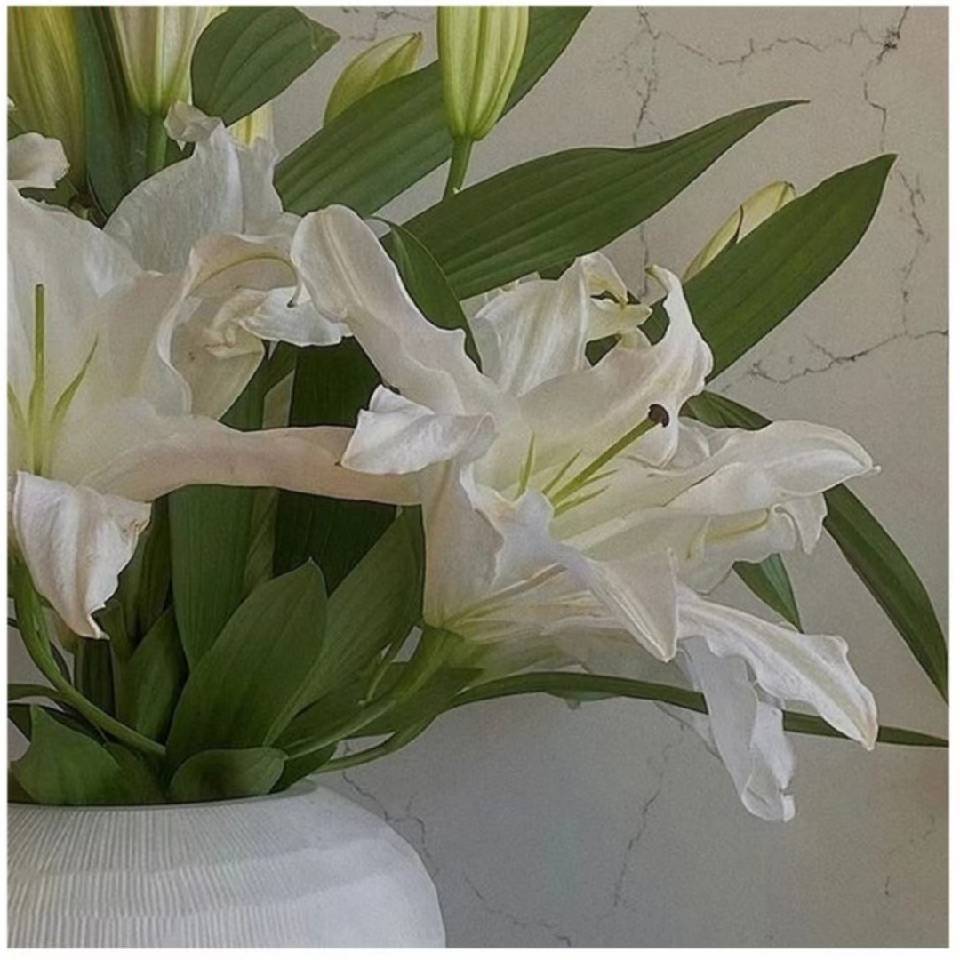 芳子