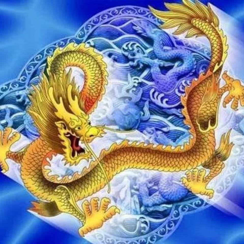 鱼