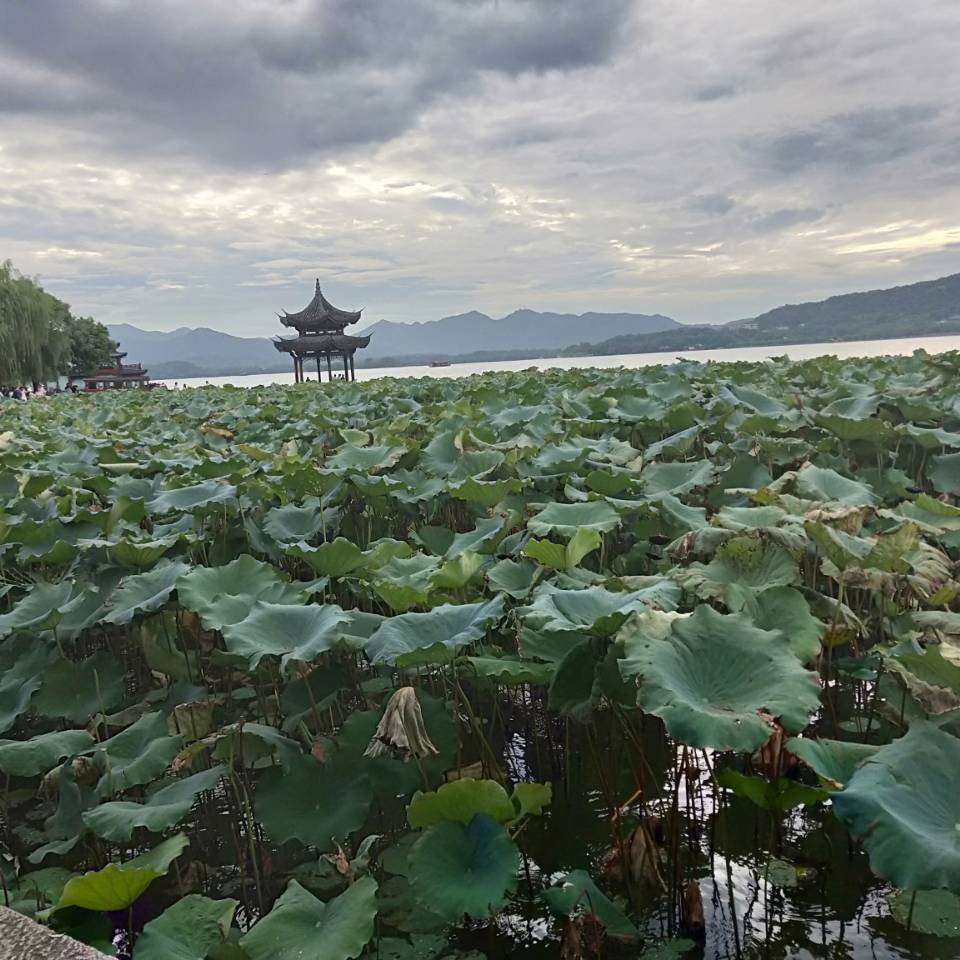 随缘