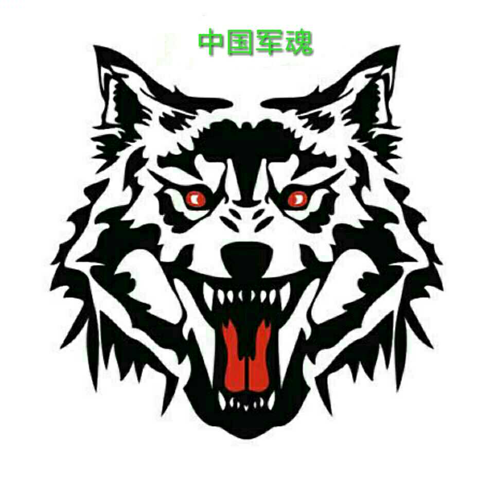 ????鹰之重生????