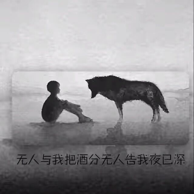 ，琴