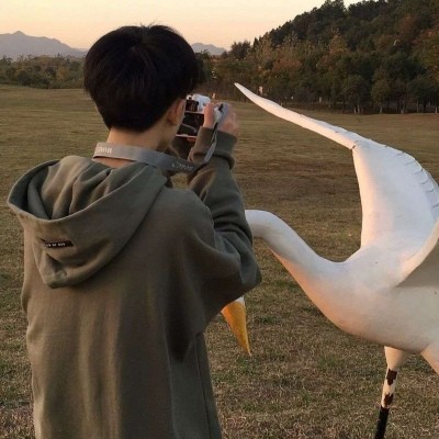 追风逐电
