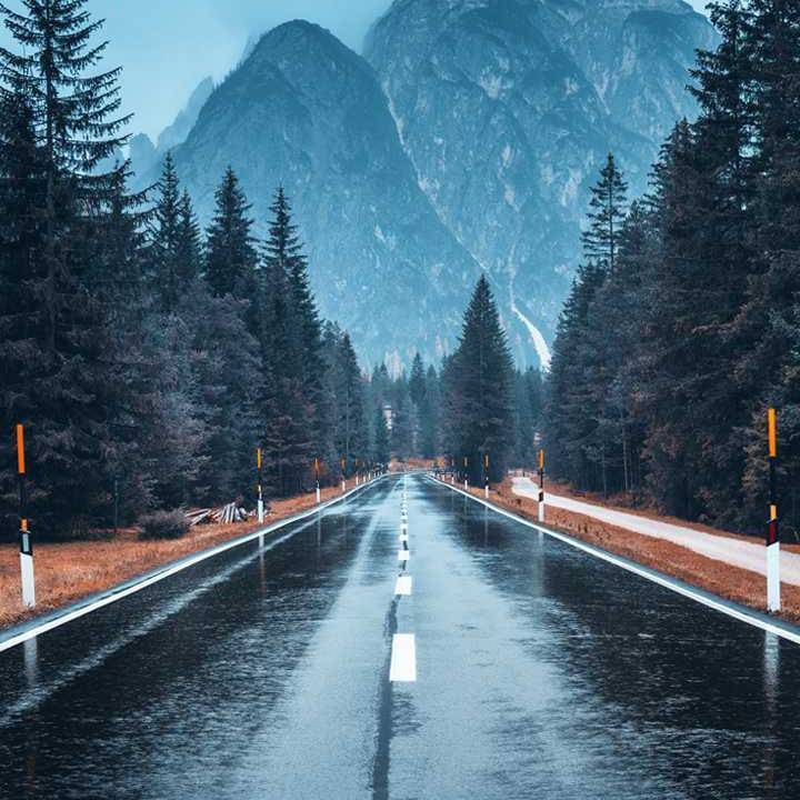 半糖