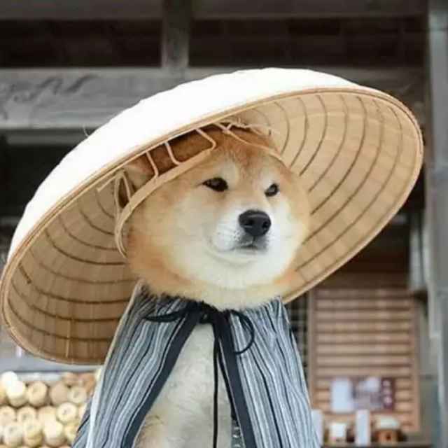 知足常乐
