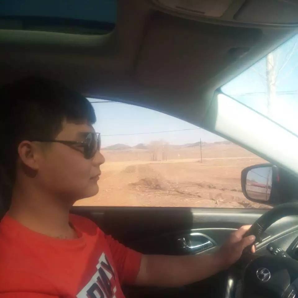 杨杨