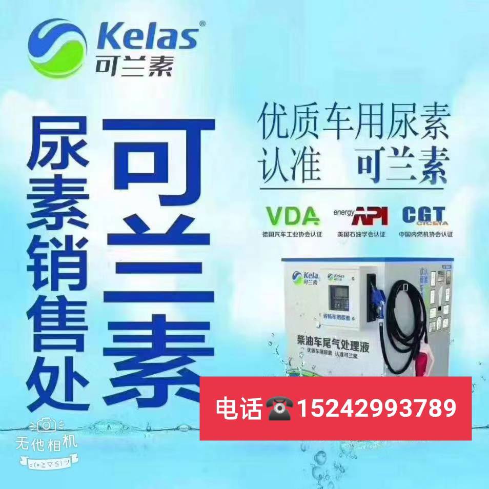 ?伊人