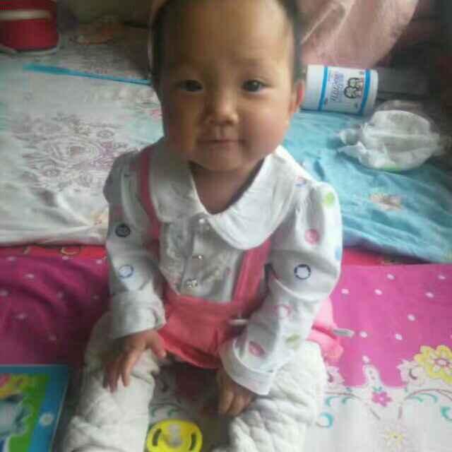AI金萍