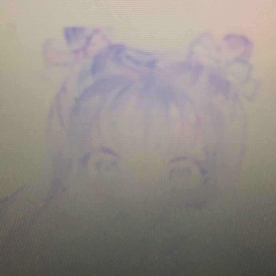 李航