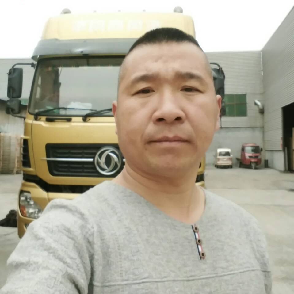 自由飞翔