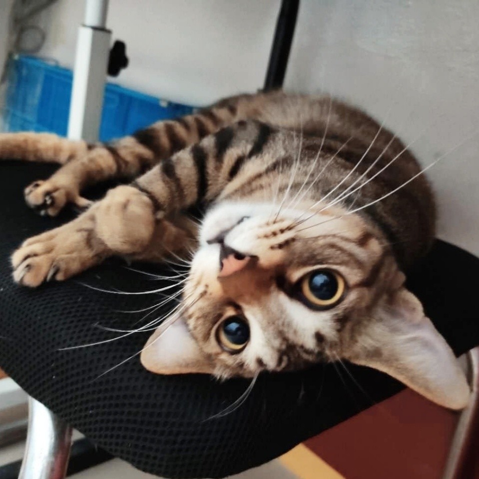 止于