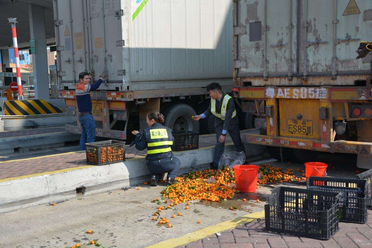 检查-重卡-橘子掉了