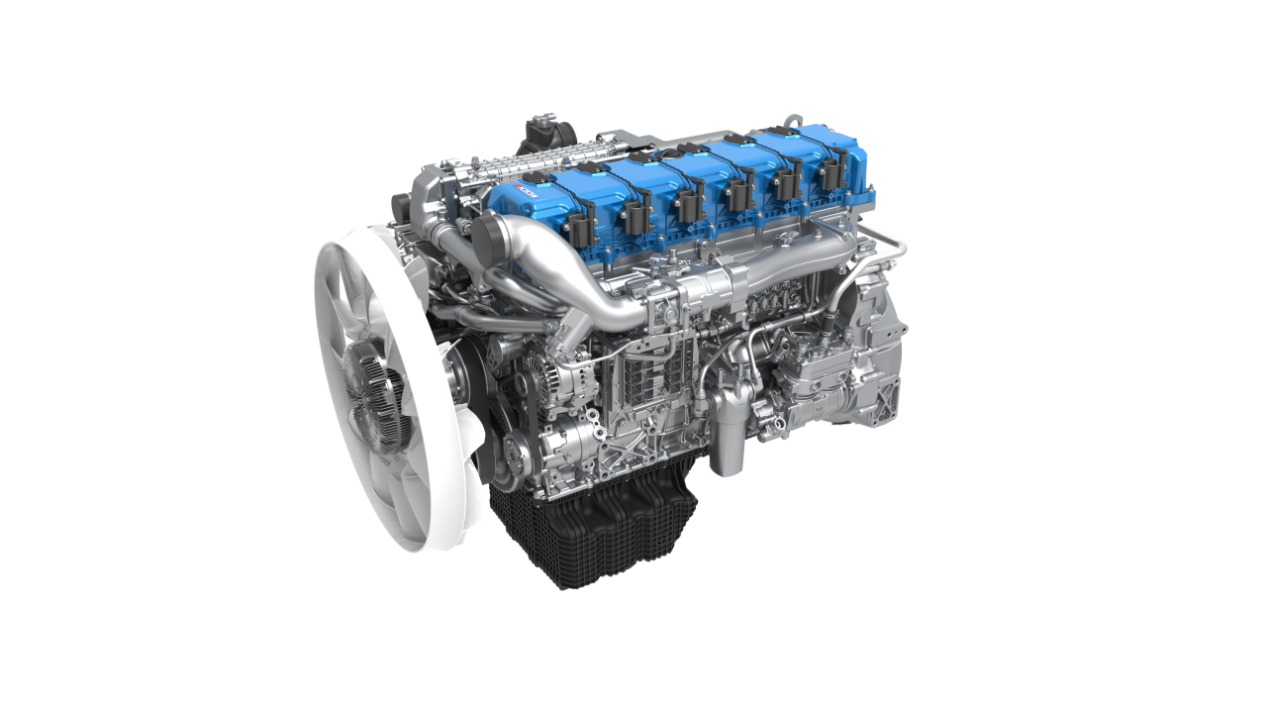 微信图片_2026-02-12_162934_046