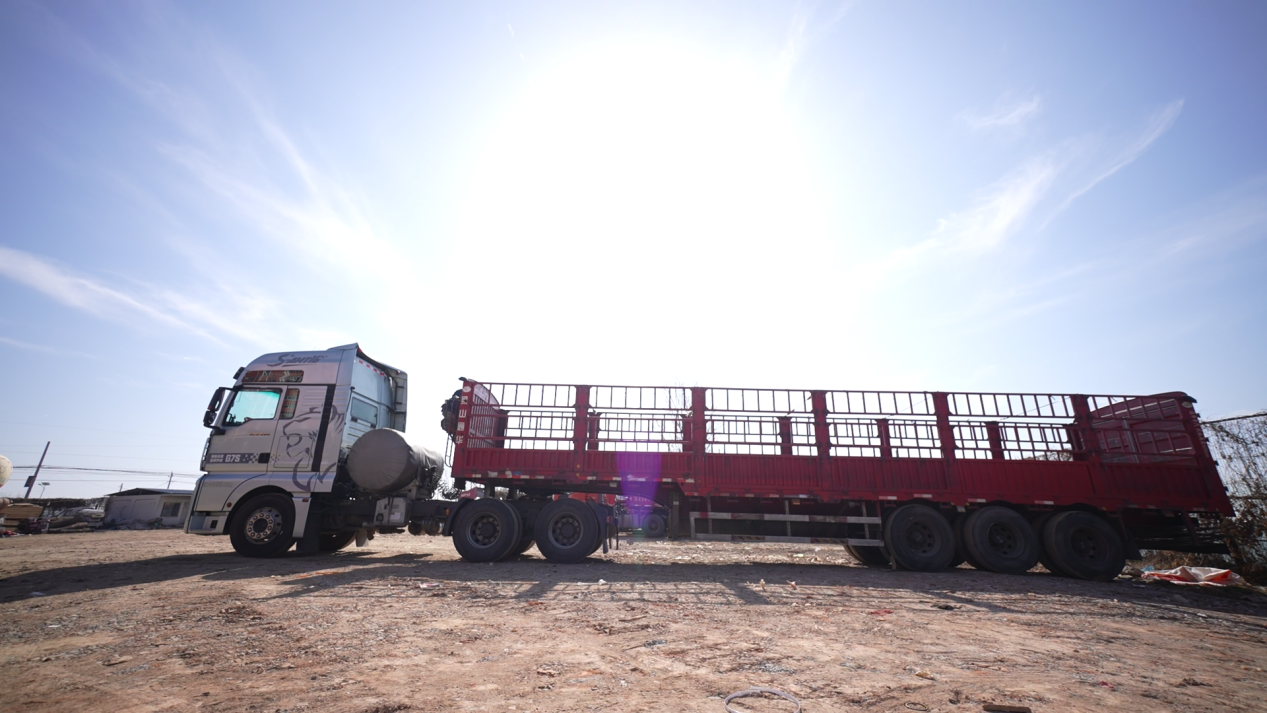 C3832[00_00_03][20260205-150934]