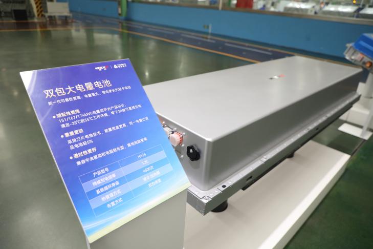 C88A6181